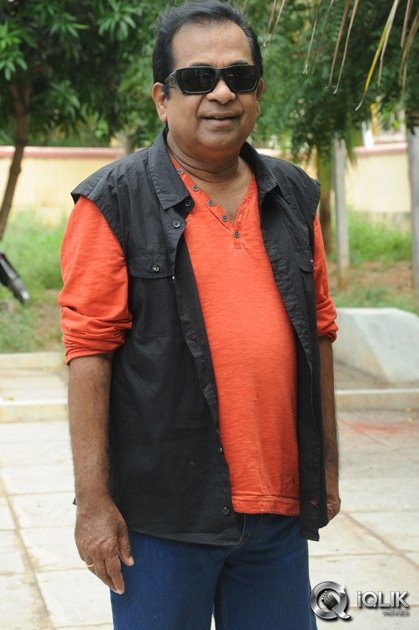 Brahmanandam-About-Alludu-Seenu-Movie